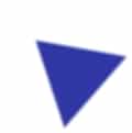 40cd1a8c Polygon 4.jpg